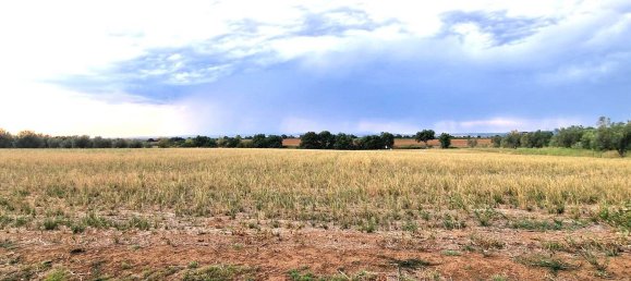  قطعة أرض في Viterbo, Italy رقم 317208 16