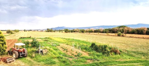  قطعة أرض في Viterbo, Italy رقم 317208 29