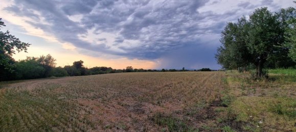  قطعة أرض في Viterbo, Italy رقم 317208 49