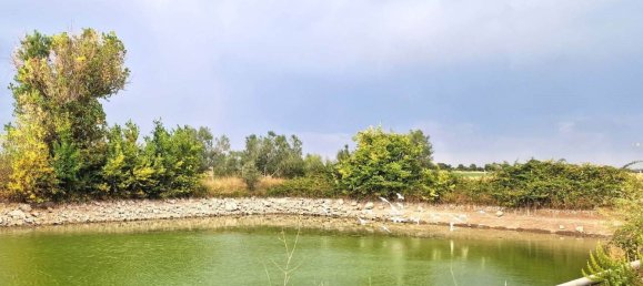  قطعة أرض في Viterbo, Italy رقم 317208 26