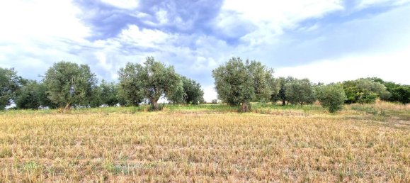  قطعة أرض في Viterbo, Italy رقم 317208 18