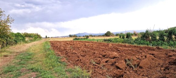  قطعة أرض في Viterbo, Italy رقم 317208 32