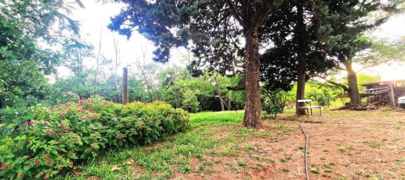  قطعة أرض في Viterbo, Italy رقم 317208 42