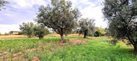  قطعة أرض في Viterbo, Italy رقم 317208 14