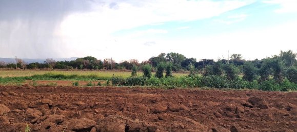  قطعة أرض في Viterbo, Italy رقم 317208 25