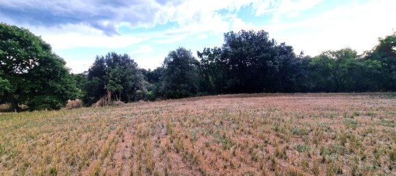  قطعة أرض في Viterbo, Italy رقم 317208 37