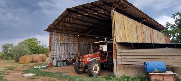  قطعة أرض في Viterbo, Italy رقم 317208 45