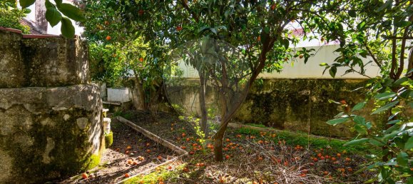 3 غرف نوم منزل في Vila Vicosa, Portugal رقم 165140 47