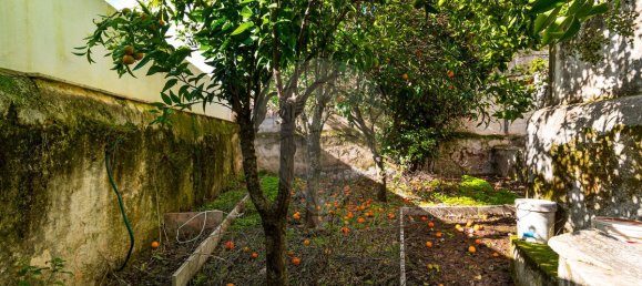 3 غرف نوم منزل في Vila Vicosa, Portugal رقم 165140 45