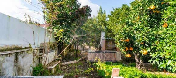 3 غرف نوم منزل في Vila Vicosa, Portugal رقم 165140 41