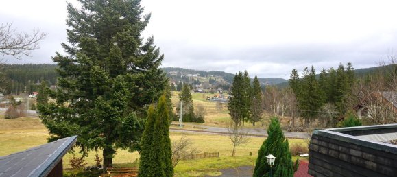 Hotel in Breisgau-Hochschwarzwald, Germany 531m², Nr. 3543 10