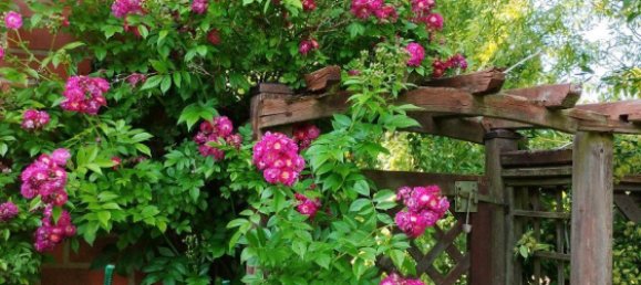 4 chambres Maison de ville à Luneburg, Germany No. 335344 2