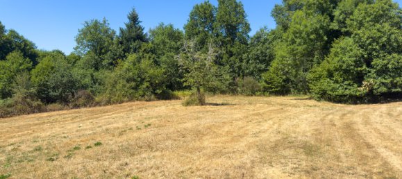 Castillos de 4 dormitorios en Marval, France No. 279299 13