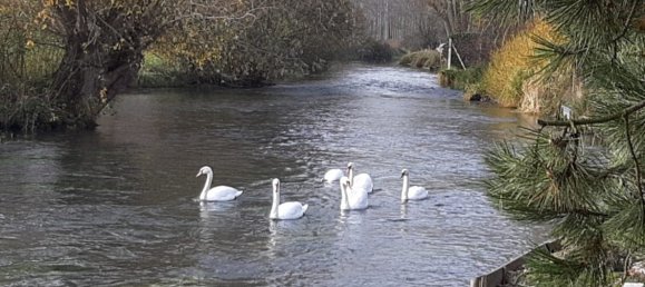 Casa T3 em Senarpont, France N.º 56220 6