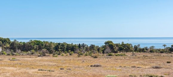 2 bedrooms Apartment in Torrevieja, Spain No. 181539 35