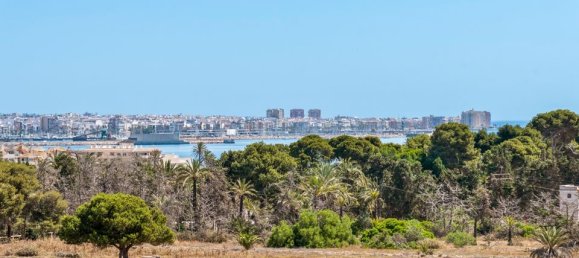 2 bedrooms Apartment in Torrevieja, Spain No. 181539 33