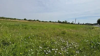 Grundstück in Purbach am Neusiedler See, Austria, Nr. 149152