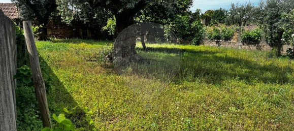 4 chambres Maison à Vila de Rei, Portugal No. 169596 21