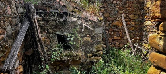 4 chambres Maison à Vila de Rei, Portugal No. 169596 13