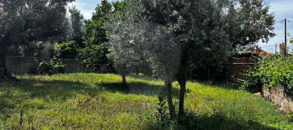 4 chambres Maison à Vila de Rei, Portugal No. 169596 29