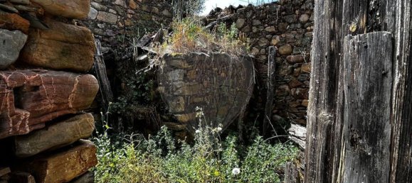 4 chambres Maison à Vila de Rei, Portugal No. 169596 11