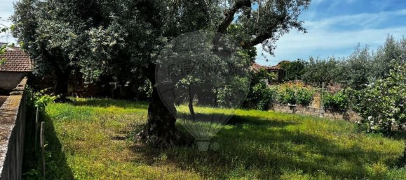 4 chambres Maison à Vila de Rei, Portugal No. 169596 22