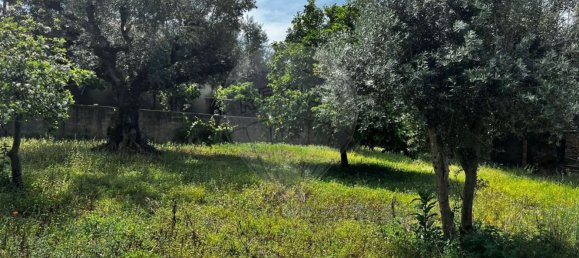 4 chambres Maison à Vila de Rei, Portugal No. 169596 28