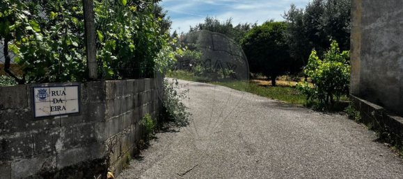 4 chambres Maison à Vila de Rei, Portugal No. 169596 31