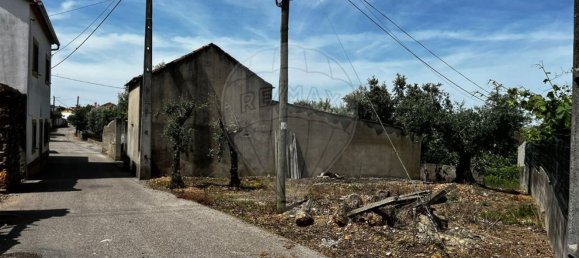 4 chambres Maison à Vila de Rei, Portugal No. 169596 20