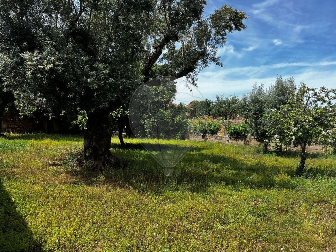 4 chambres Maison à Vila de Rei, Portugal No. 169596