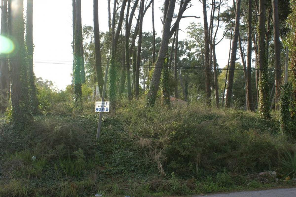  Land in Maldonado, Uruguay No. 16001