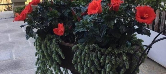 3 غرف نوم شقة في Florence, Italy رقم 117664 26