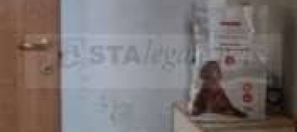 1 chambre Appartement à Busto Garolfo, Italy No. 11780 9