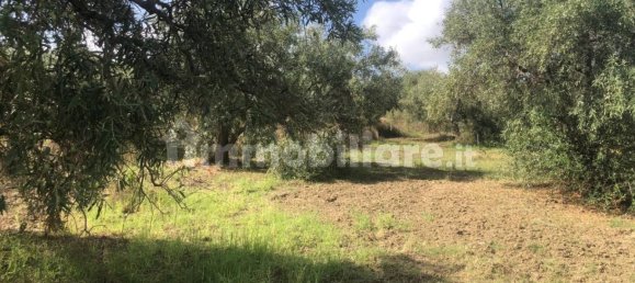 Земельный участок 6350м² в Спадафора, Италия № 377552 6