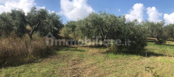 Земельный участок 6350м² в Спадафора, Италия № 377552 7