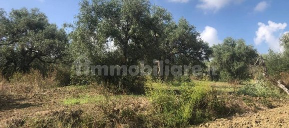 Земельный участок 6350м² в Спадафора, Италия № 377552 4