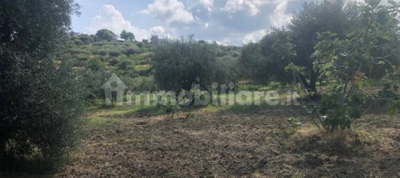 Земельный участок 6350м² в Спадафора, Италия № 377552 11