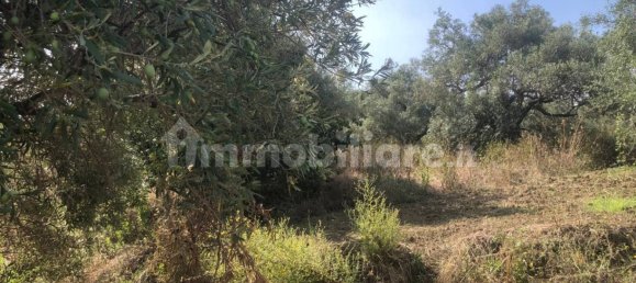 Земельный участок 6350м² в Спадафора, Италия № 377552 5