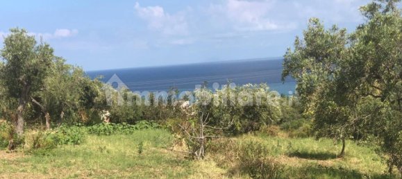 Земельный участок 6350м² в Спадафора, Италия № 377552 8