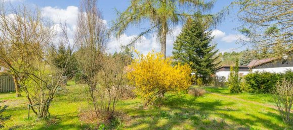  Land in Markisch-Oderland, Germany No. 363603 2