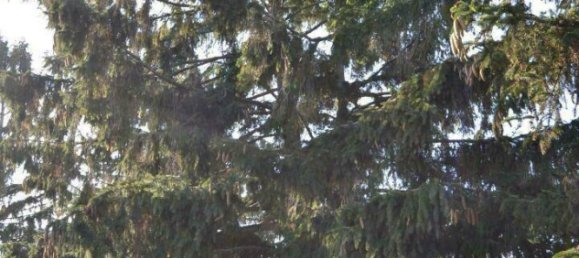 Terrain à Vienna, Austria 960m² No. 156140 5