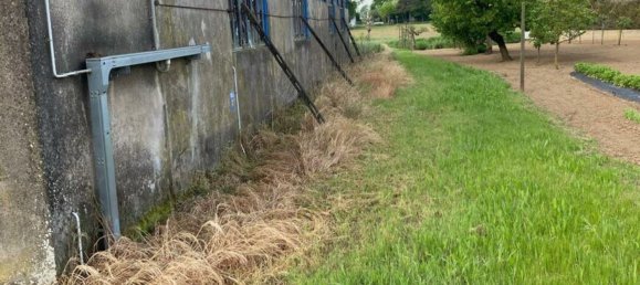 4 rooms House in San Pietro di Morubio, Italy No. 269370 7