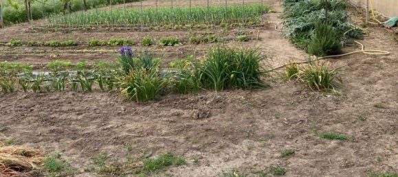 4 rooms House in San Pietro di Morubio, Italy No. 269370 2