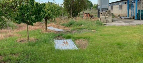 4 rooms House in San Pietro di Morubio, Italy No. 269370 10