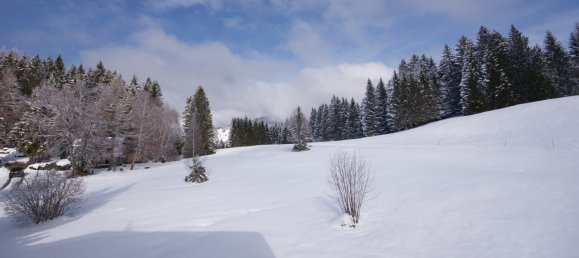 3غرفة شقة في Ubersaxen, Austria رقم 175251 6