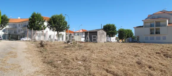 Terreno en Santa Comba Dao, Portugal No. 58303 2