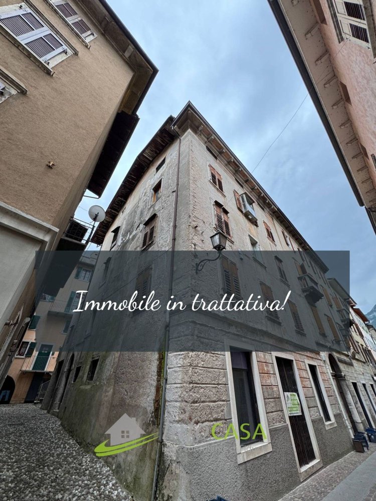 400m² Building in Ala, Italy No. 339543