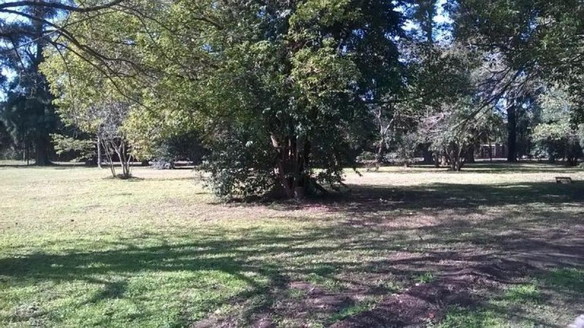 Земельный участок в провинция Санта-Фе, Аргентина № 35656