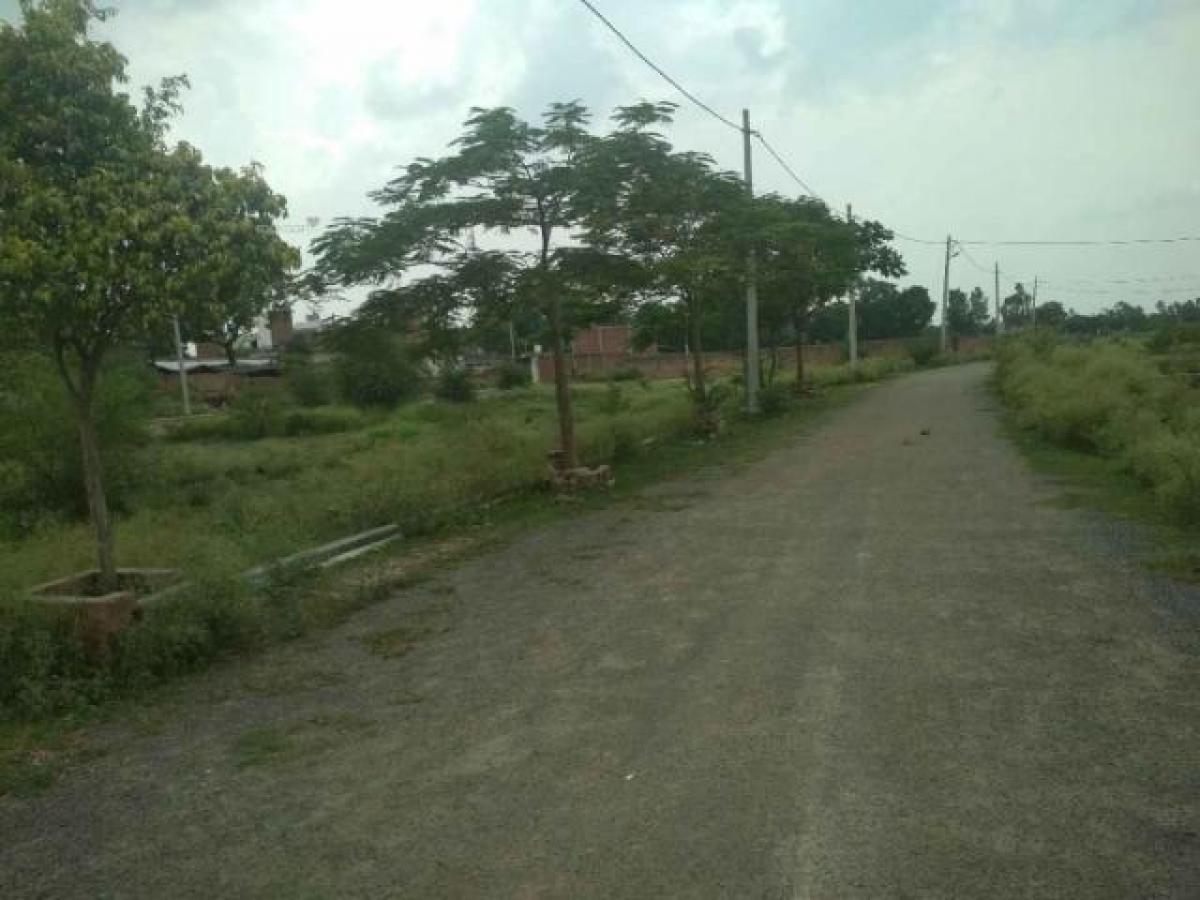  Land in Lucknow, India No. 36650