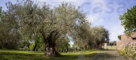 1 chambre Maison à Noto, Italy No. 360769 2